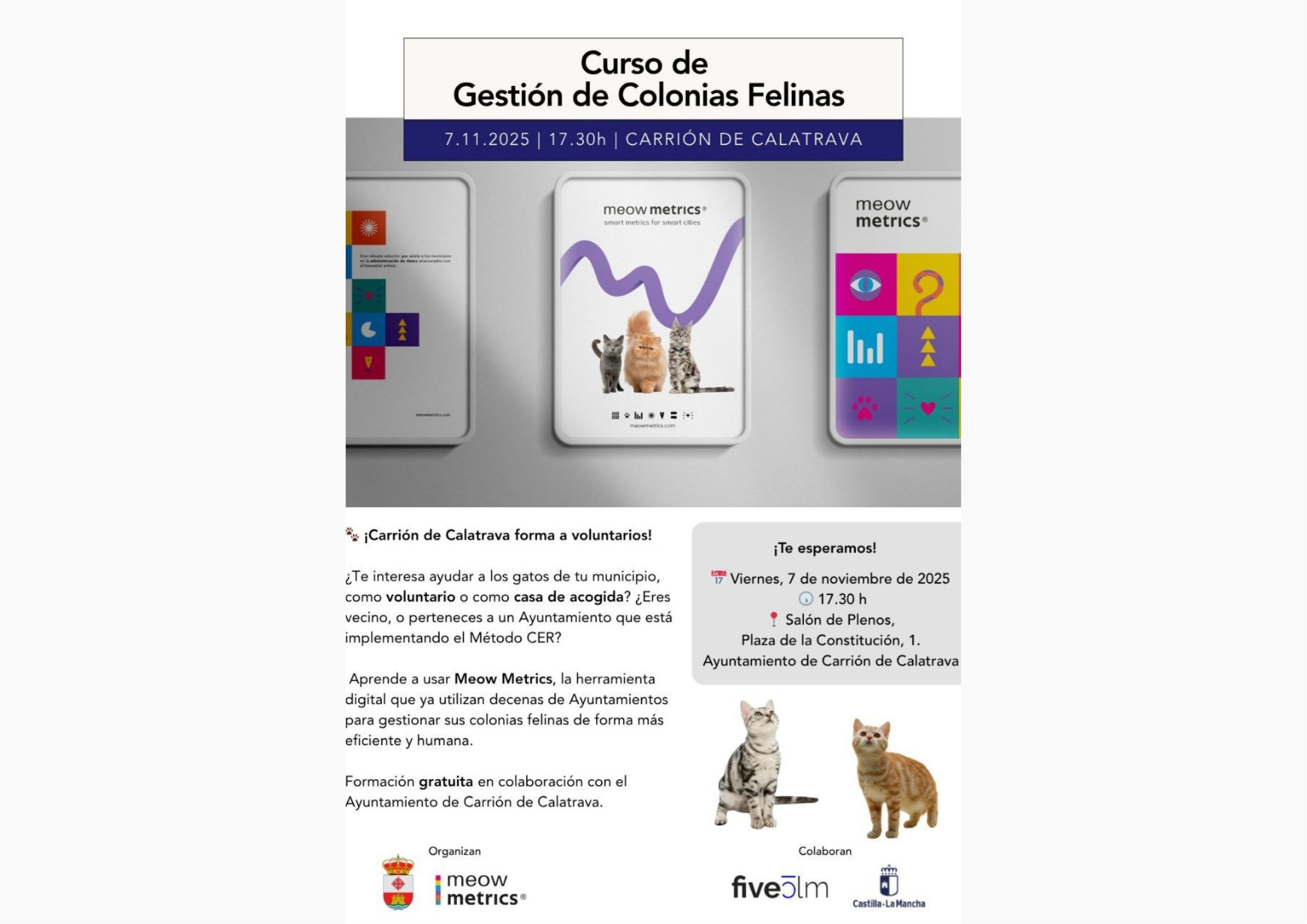 Curso de Gestión de Colonias Felinas
